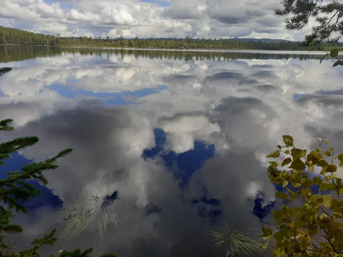 Hulpbron: natuur