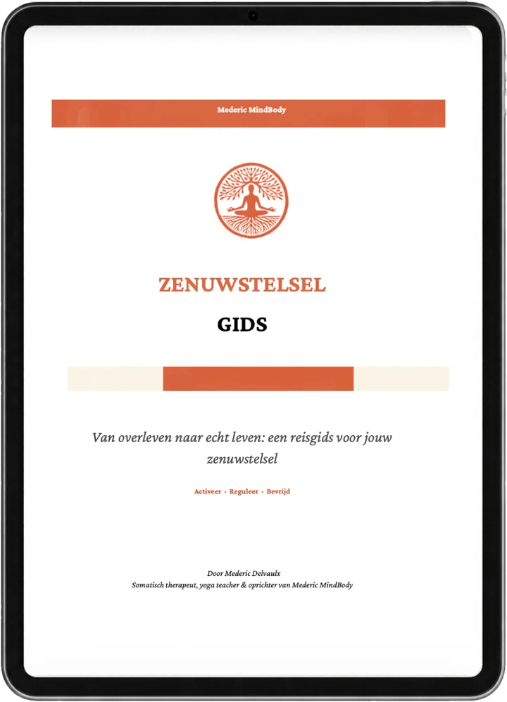 De Zenuwstelsel Gids